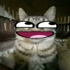 Стикер 11 Коты премиум