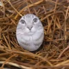 Стикер 3 Коты премиум