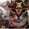 Стикер 37 Коты премиум