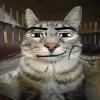 Стикер 43 Коты премиум
