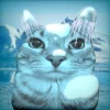 Стикер 53 Коты премиум
