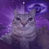 Стикер 23 Коты премиум