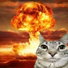 Стикер 13 Коты премиум