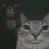 Стикер 48 Коты премиум