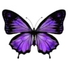 Стикер 55 Purple #color #purple #cute #status #girl