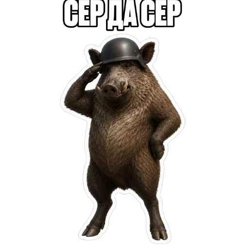 🪖 Стикер «kaban» для Telegram