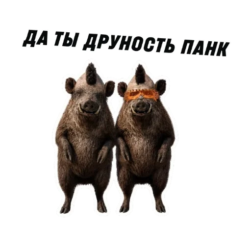 💩 Стикер «kaban» для Telegram