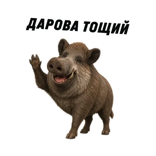✋ Стикер «kaban» для Telegram