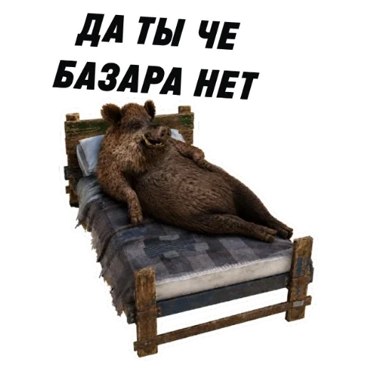 😴 Стикер «kaban» для Telegram