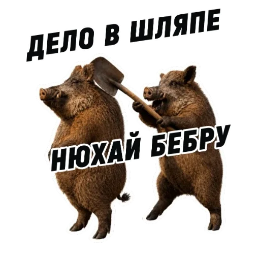 🥹 Стикер «kaban» для Telegram
