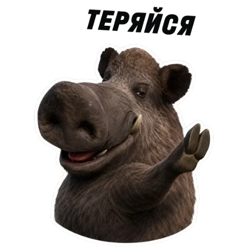 🙄 Стикер «kaban» для Telegram