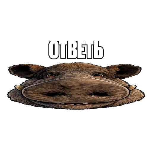 🫥 Стикер «kaban» для Telegram
