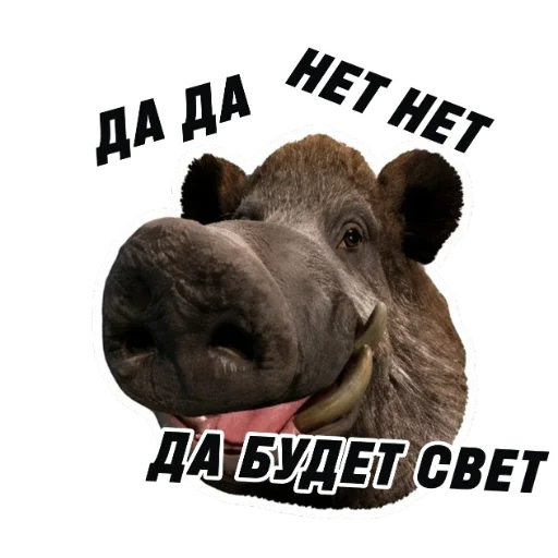 🥸 Стикер «kaban» для Telegram