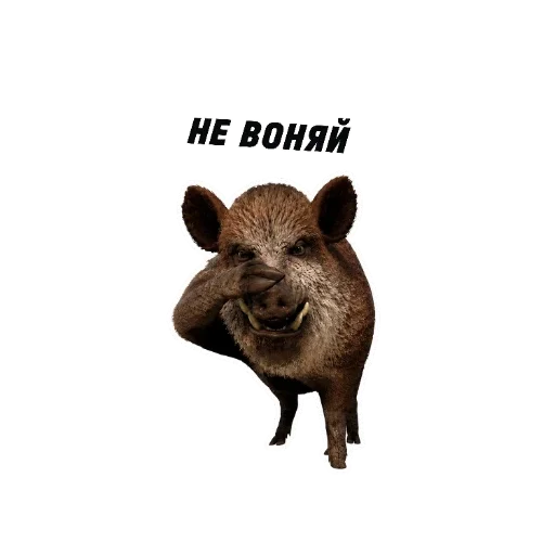 💩 Стикер «kaban» для Telegram