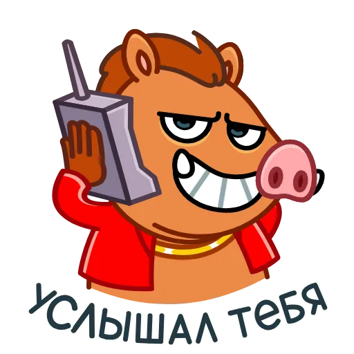 Обложка пака