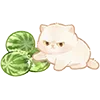 Стикер 9 Kapebeans Cats