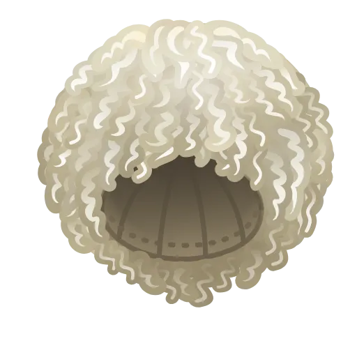 Стикер 55 Khabib's Papakha