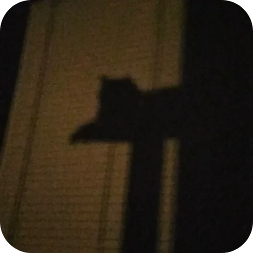 🐶 Стикер «Киса» для Telegram