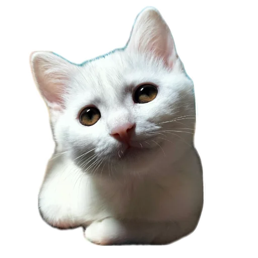 🐱 Стикер «Киса» для Telegram