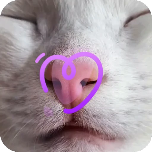 🐱 Стикер «Киса» для Telegram