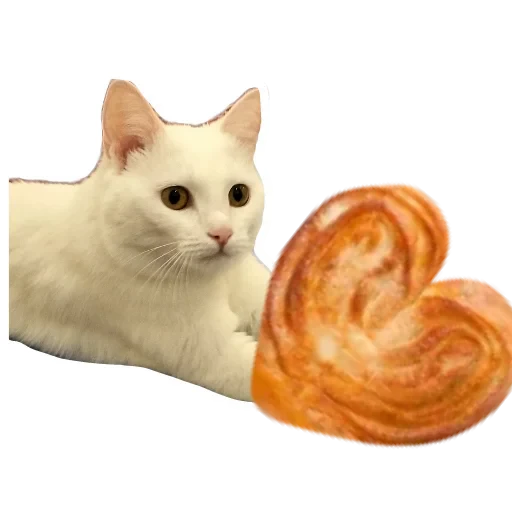 🐱 Стикер «Киса» для Telegram