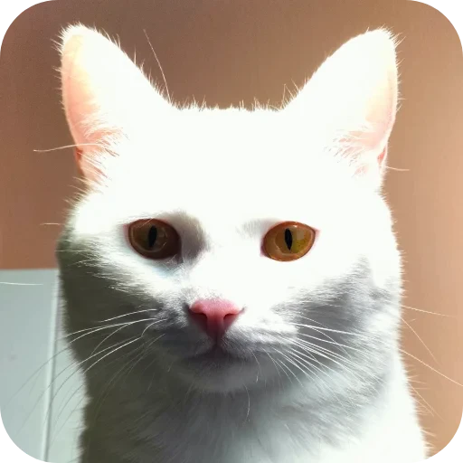 🐱 Стикер «Киса» для Telegram