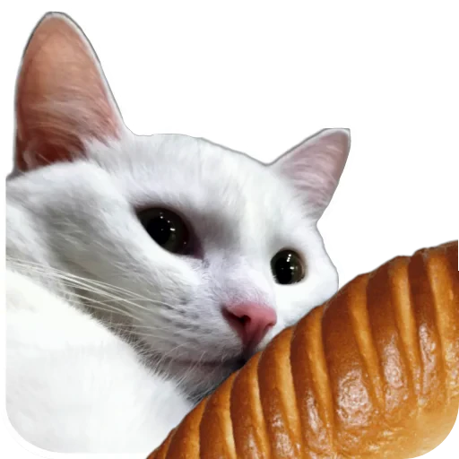 🐱 Стикер «Киса» для Telegram