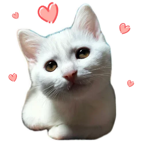 🐱 Стикер «Киса» для Telegram