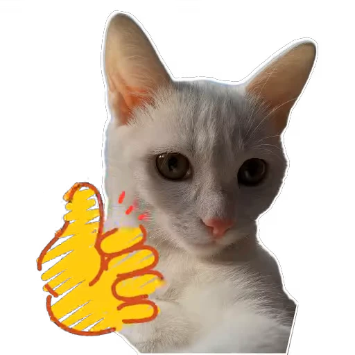 🐱 Стикер «Киса» для Telegram