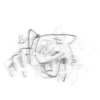 Стикер 56 Cat Scaramouche