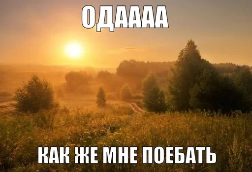 🥳 Стикер «эщкере» для Telegram