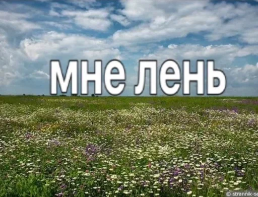 🥱 Стикер «эщкере» для Telegram
