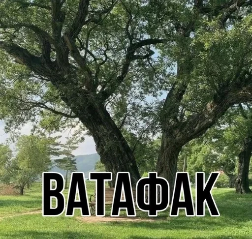 🫤 Стикер «эщкере» для Telegram