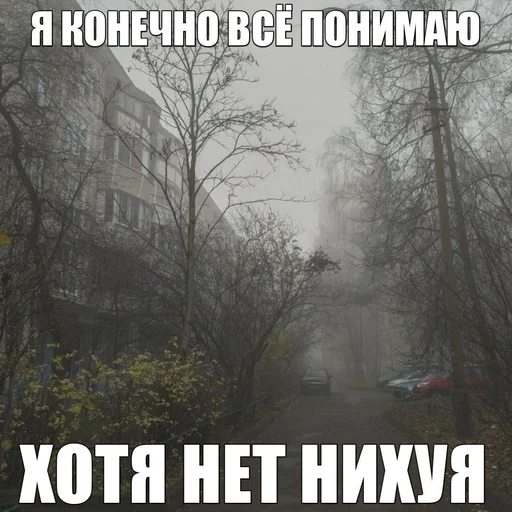 😃 Стикер «эщкере» для Telegram