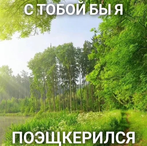 😉 Стикер «эщкере» для Telegram