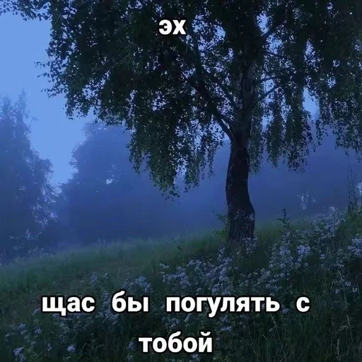 🥺 Стикер «эщкере» для Telegram