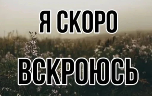 🆘 Стикер «эщкере» для Telegram