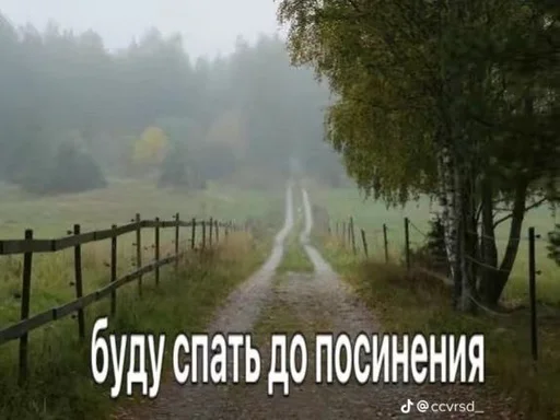 🧞‍♂ Стикер «эщкере» для Telegram