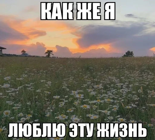 ☺️ Стикер «эщкере» для Telegram