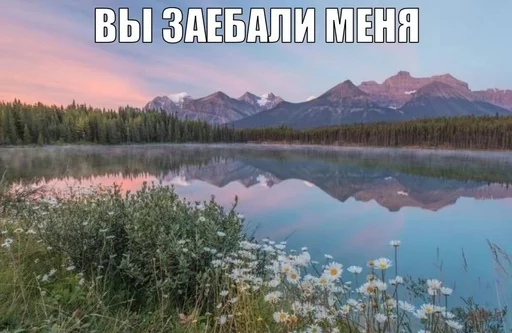 😡 Стикер «эщкере» для Telegram