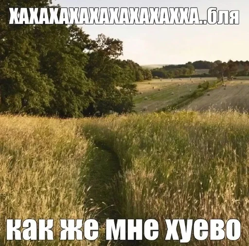 🌚 Стикер «эщкере» для Telegram