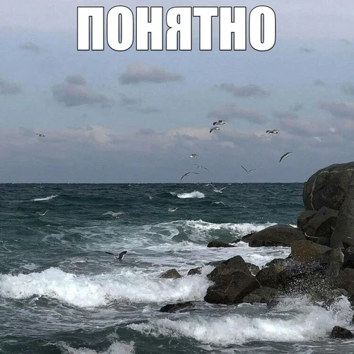👍 Стикер «эщкере» для Telegram