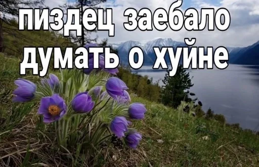 😩 Стикер «эщкере» для Telegram
