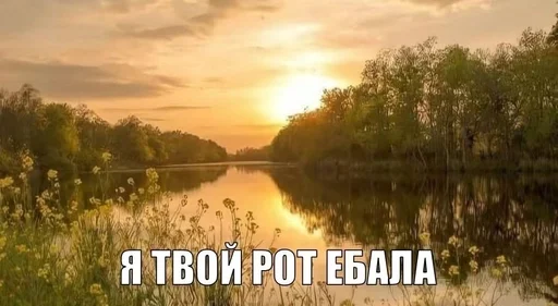 😉 Стикер «эщкере» для Telegram