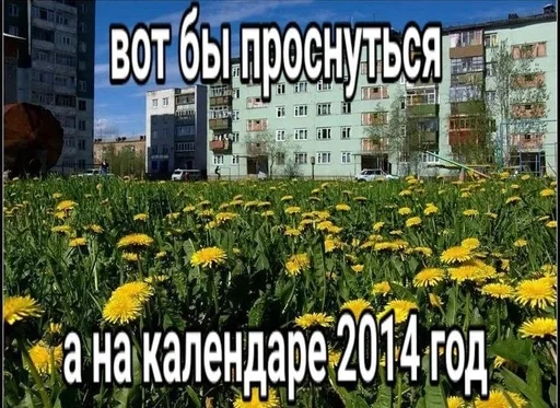 🙈 Стикер «эщкере» для Telegram