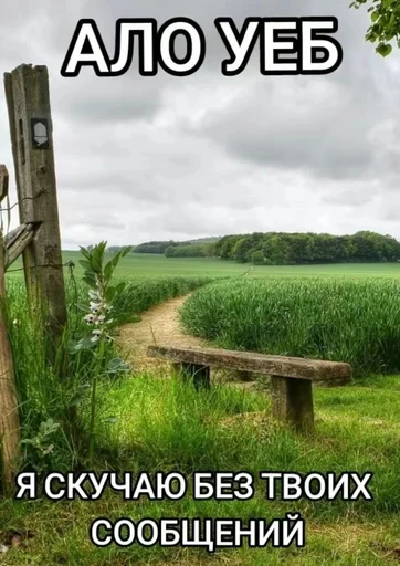 🙄 Стикер «эщкере» для Telegram