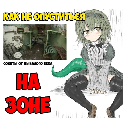 🖼 Стикер «KolyaMeme» для Telegram