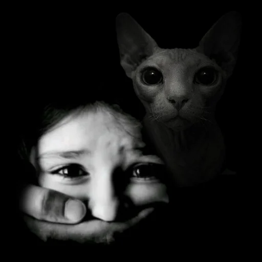 🔇 Стикер «кот марина» для Telegram