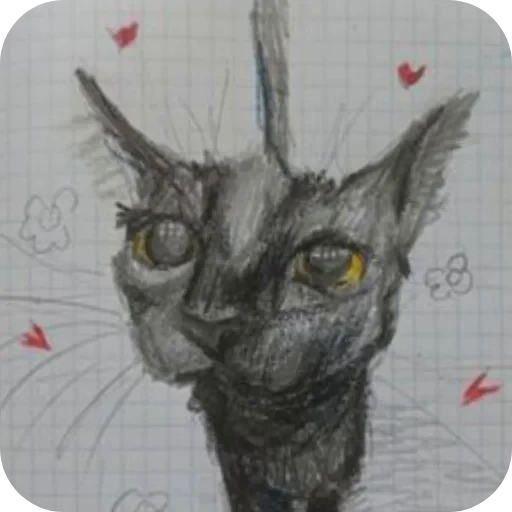 👓 Стикер «Коты кэта» для Telegram