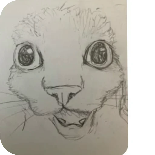 👍 Стикер «Коты кэта» для Telegram